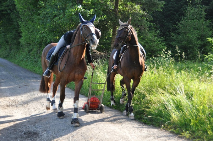 DSC_0161 - HOMEPAGE.JPG